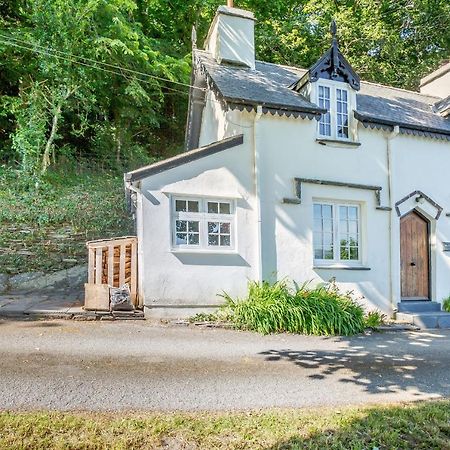 Braich-Y-Celyn Lodge Aberdyfi Buitenkant foto